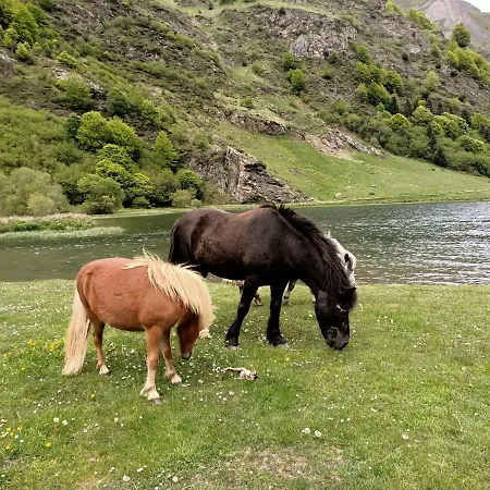 Le Balcon Des Cimes Alojamento de Acomodação e Pequeno-almoço Adast