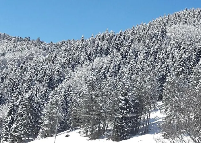 Le Balcon Des Cimes Adast