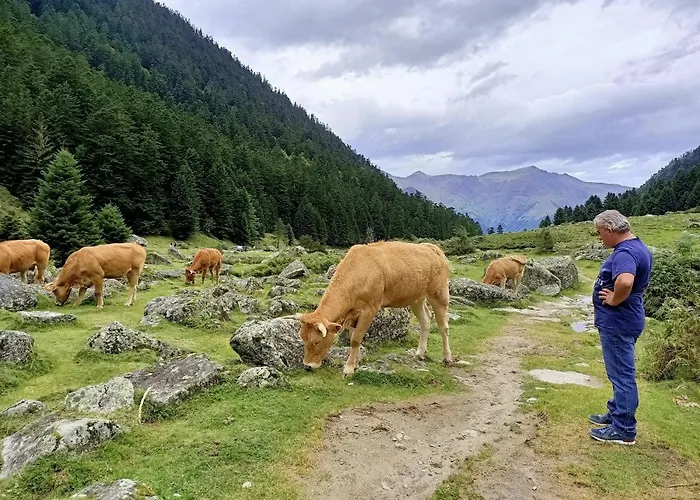Le Balcon Des Cimes Bed and Breakfast 3*
