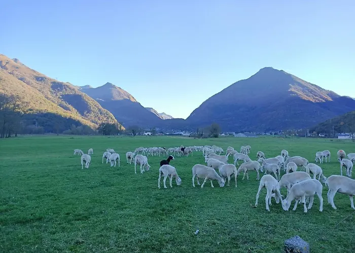 Le Balcon Des Cimes 3*