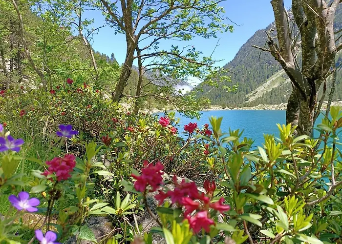 Le Balcon Des Cimes 3* Adast