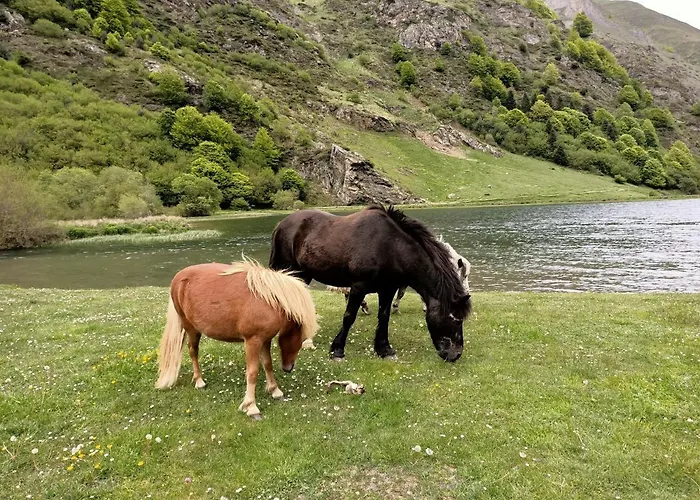 Le Balcon Des Cimes Bed and Breakfast Adast