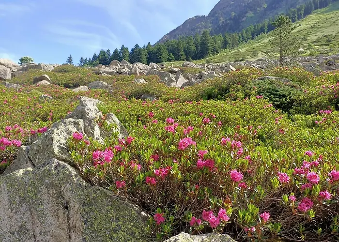 Bed and Breakfast Le Balcon Des Cimes