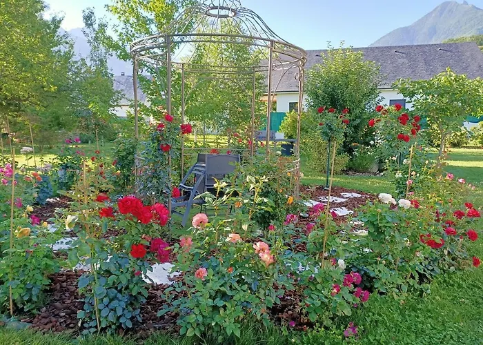 Le Balcon Des Cimes Bed and Breakfast Adast