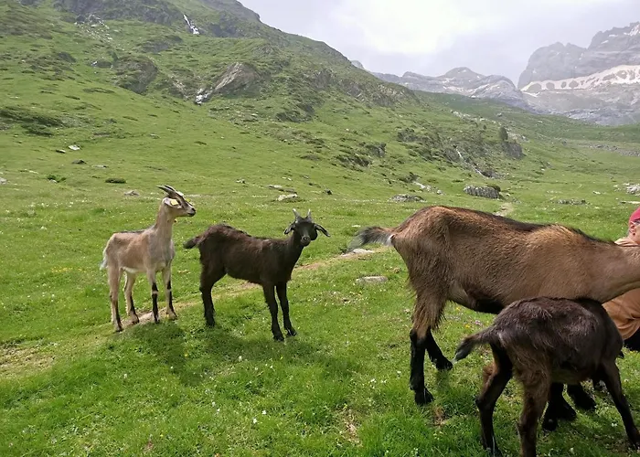 Le Balcon Des Cimes Bed and Breakfast 3*