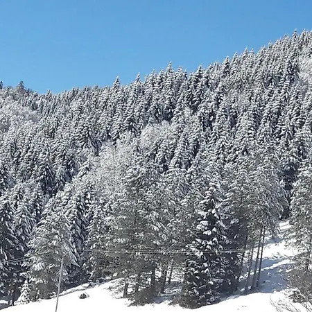Le Balcon Des Cimes Adast