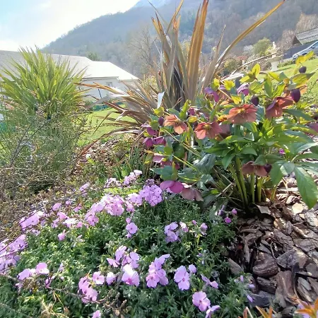 Bed & Breakfast Le Balcon Des Cimes Adast