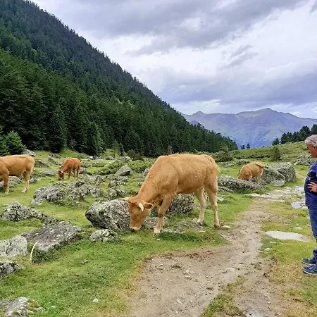 Le Balcon Des Cimes Bed & Breakfast 3*