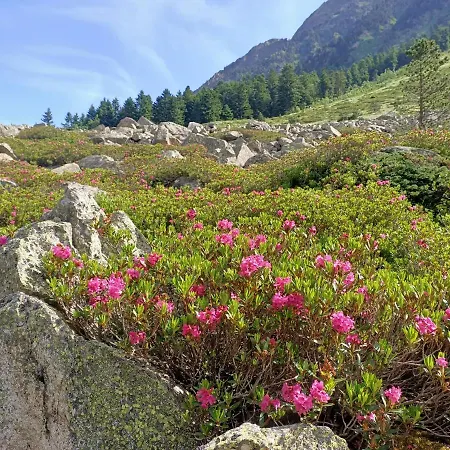 Frühstückspension Le Balcon Des Cimes