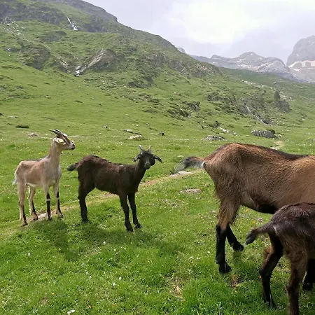 Le Balcon Des Cimes Bed & Breakfast 3*
